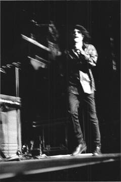 peter wolf